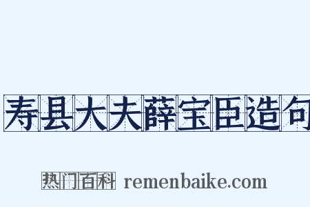寿县大夫薛宝臣造句是什么意思的图片